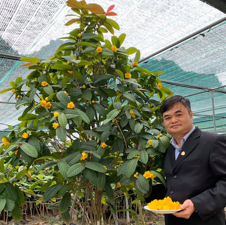 https://thoibaokinhdoanh.vn/mo-hinh/tra-hoa-vang-sang-trien-vong-thanh-san-pham-ocop-1073795.html?fbclid=IwAR2oG2YDoktoV1iAB7xijE19fnSy8BR2wfa_jlzTwb6CpOrwMk2v0TLcUuE