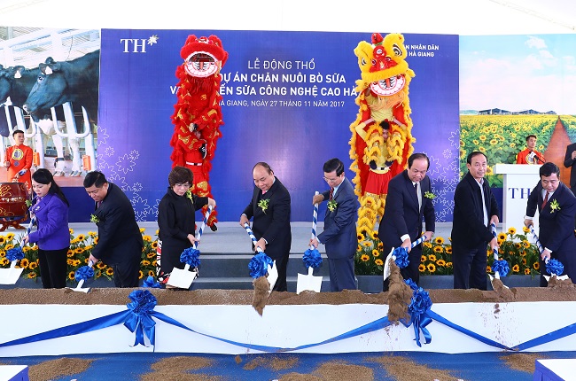 TH đầu tư 2.500 tỷ đồng chăn nuôi bò sữa công nghệ cao ở Hà Giang